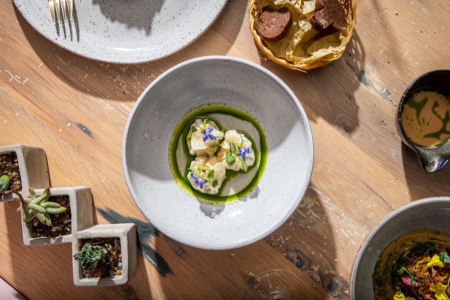 Oyster Oyster DC